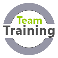 Teamtraining für virtuelle Teams, hybride Teams  und Teams vor Ort MTO-Consulting